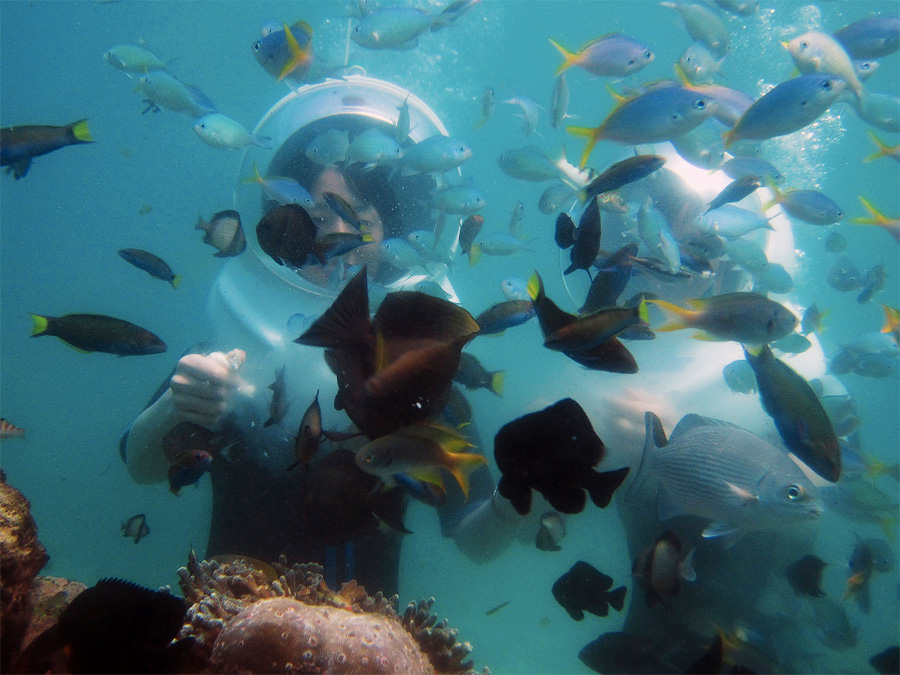 Подводная прогулка, Бали, Индонезия, Азия